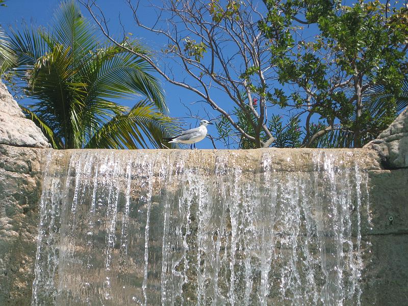 Picture 051